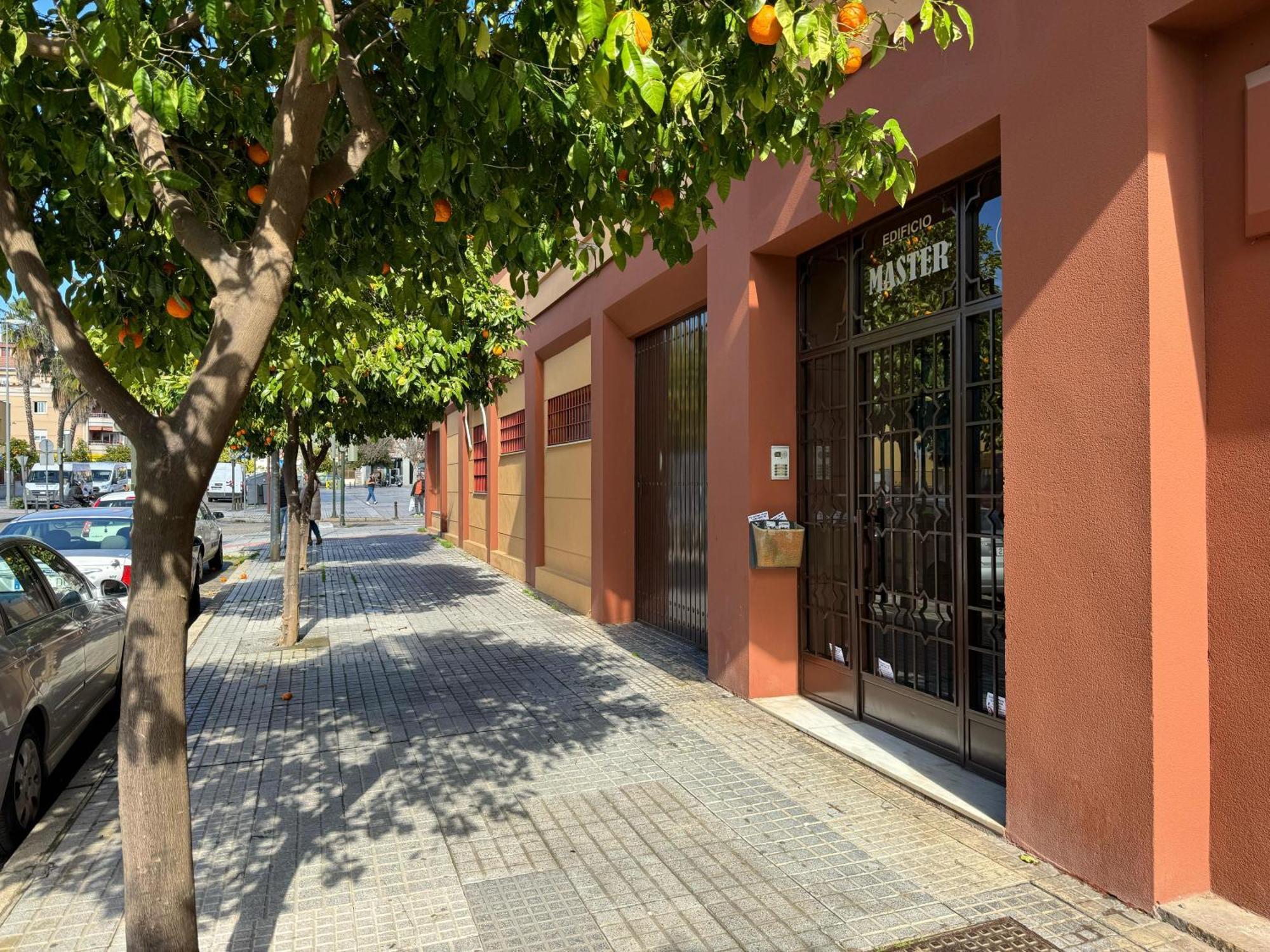 Apartamento Maria La Judia Κόρδοβα Εξωτερικό φωτογραφία